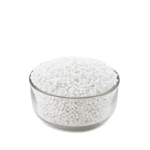 Sabudana