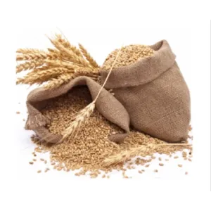 Wheat Sharbati
