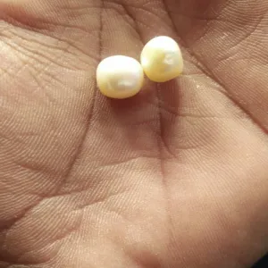Pearl (Moti)