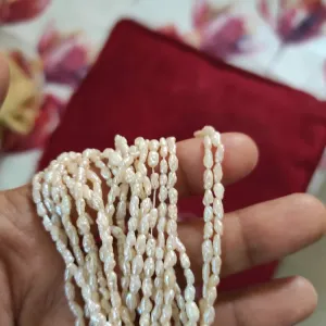 Rice Pearl 