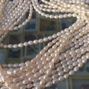 Pearls for Necklace