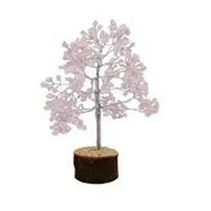 Pink Quartz Plant