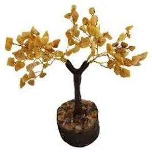 Yellow Sapphire Plant
