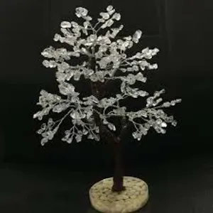 Crystal Plant