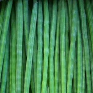 Drumsticks