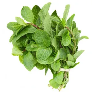 Mint leaf