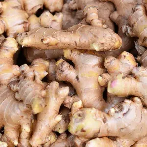Ginger