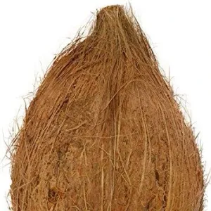 Coconut