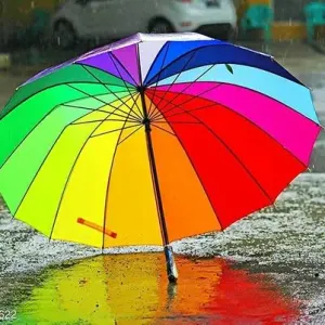 Umbrellas