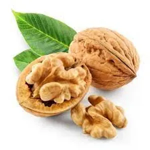 Walnut