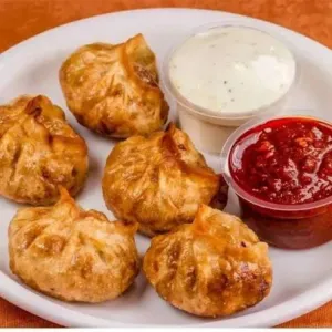 FRY VEG PANEER MOMO | FCRT