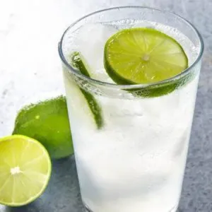 FRESH LIME CRUSHER | ONSC
