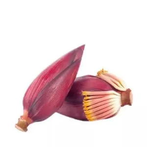 KOLAR MOCHA 