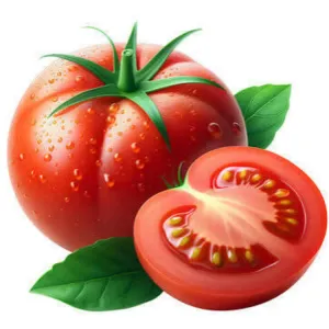 TOMETO 
