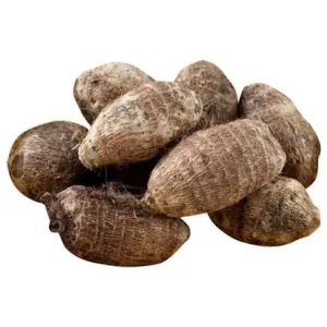 GATI KOCHU