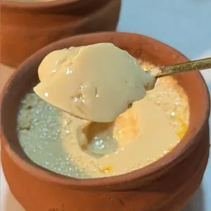 MISTI DOI | TSS
