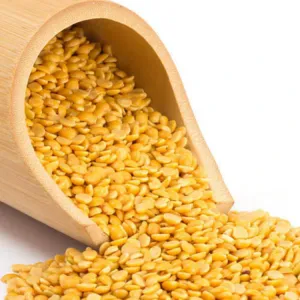 OROHOR DAL 