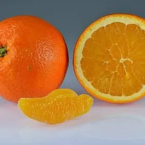 KOMLA LEBU 
