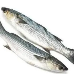 PARSHEY 