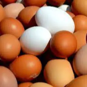 Chicken & Eggs