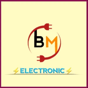 BM ELECTRONIC