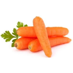 Carrot - Red
