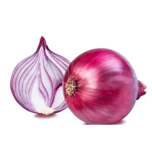 Onion ( प्याज )