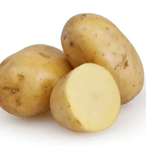 Potato