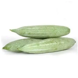 Snake Gourd ( പടവലങ്ങ)( നാടൻ )