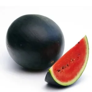 Watermelon-Black