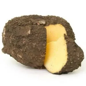Elephant foot- Yam