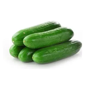 Israel Cucumber