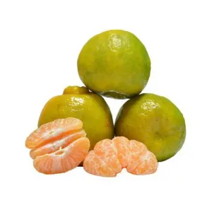 Nagpur Orange