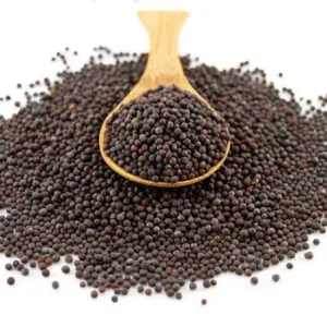 கடுகு (Mustard)