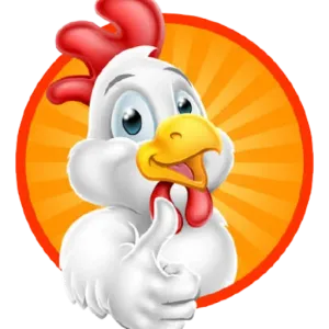 Chick-sy Foods