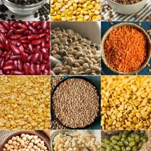 Grains 