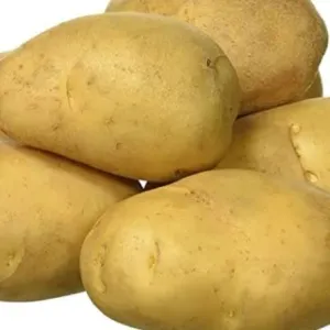 Potato K22 1 kg