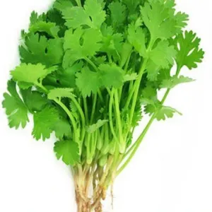 Coriander Leaves 100 g