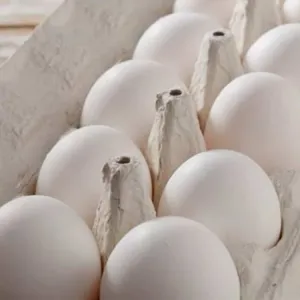 Egg 30 pc Tray