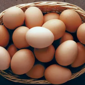 Organic Chicken Egg