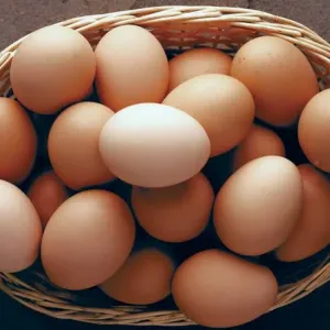 Egg