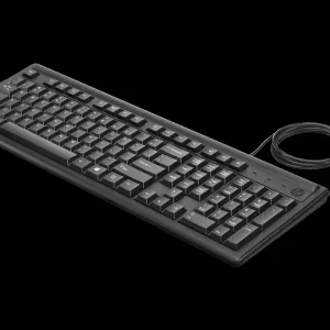 Hp 100 USB Keyboard