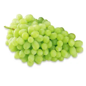 GRAPES - GREEN 