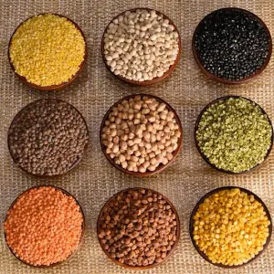 👍Pulses (dal dana)👌
