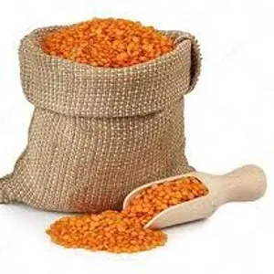 Masur dal