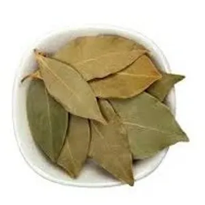 Tej patta