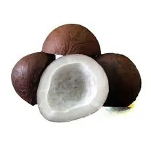 Khobra daul