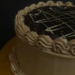 Chocochips Cake