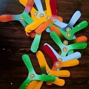 Fun Boomerang