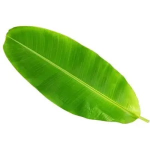 Banana leaf 1 pc